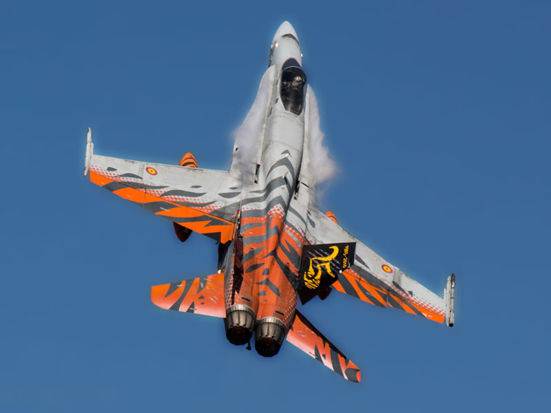 F-18 del Ala 15 pintado para el Tiger Meet