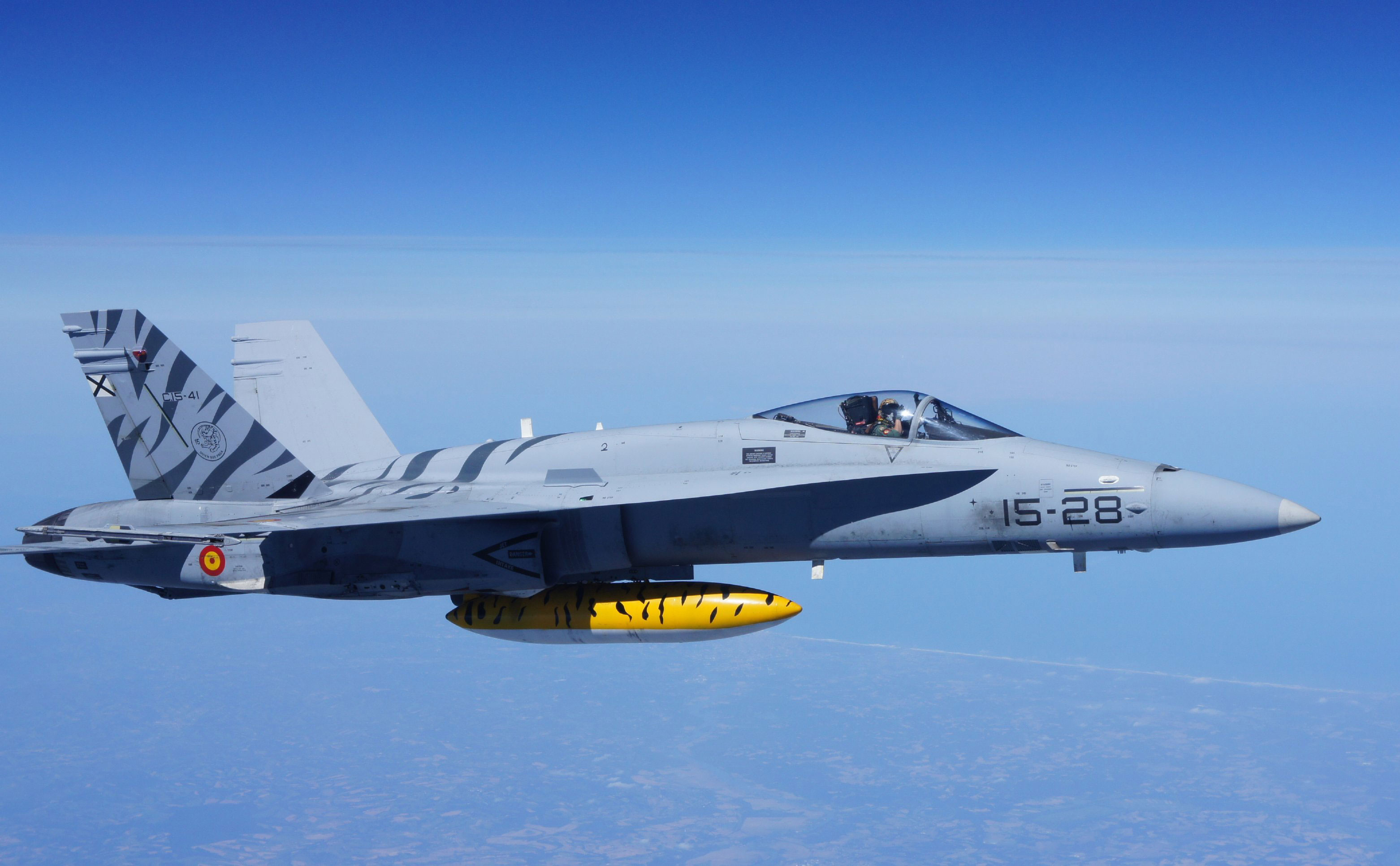 F-18_-HORNET-_DEL_ALA_15_DURANTE_UNA_PARTICIPACION_EN_EL_NATO_TIGER_MEET