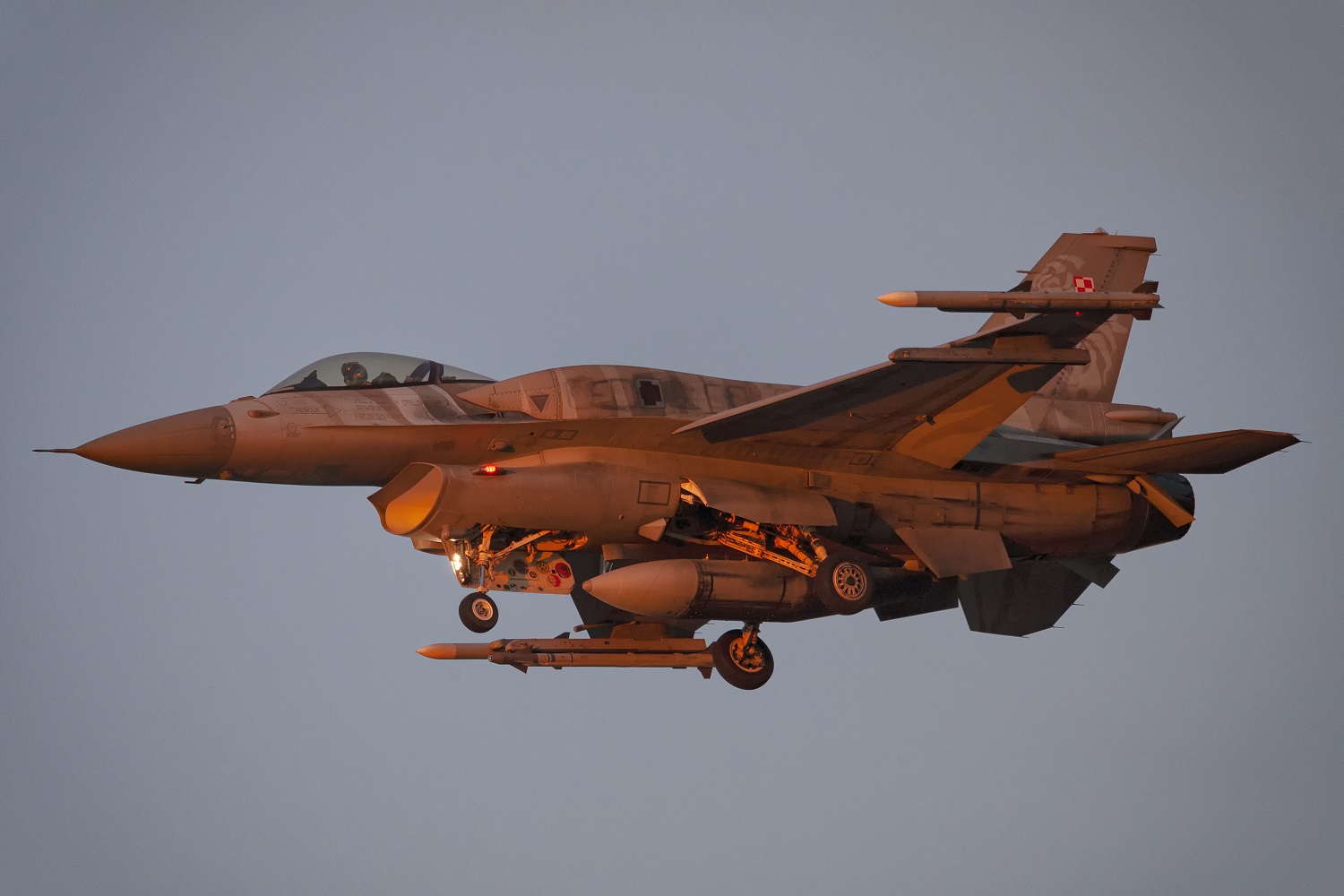 Imagen de Finaliza el último curso de vuelo del año en el TLP. Foto Antonio Cárceles