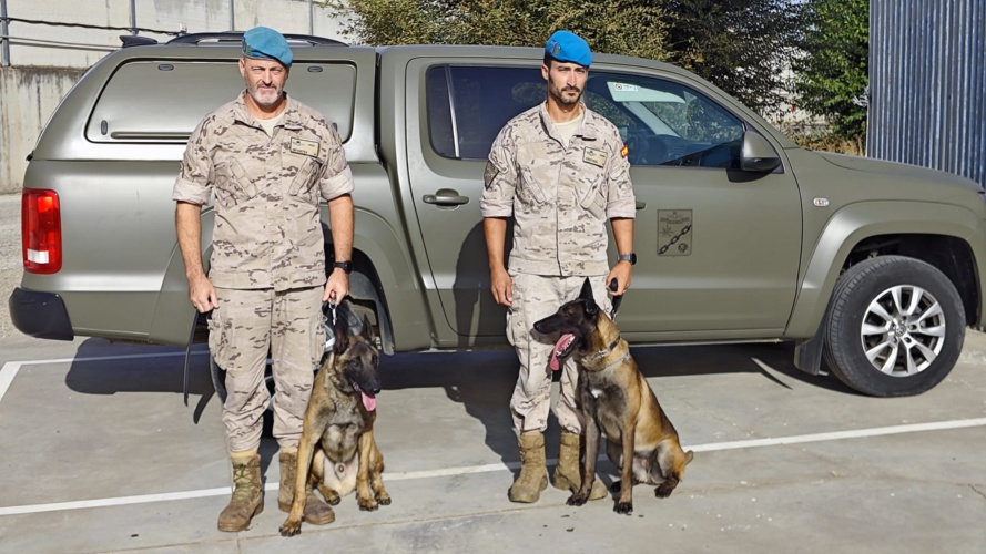 Imagen de Dos nuevos perros K9 para el Grupo Móvil de Control Aéreo