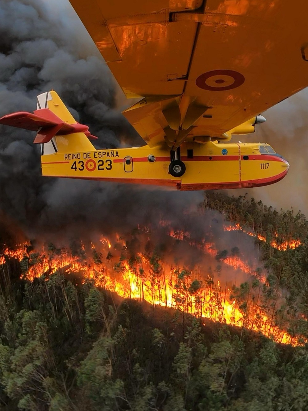 Imagen de Avión del 43 Grupo descargando agua sobre uno de los incendios de Portugal