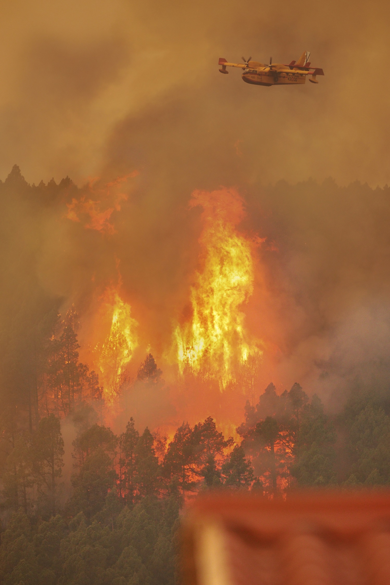 Imagen de Comienza la campaña de lucha contra los incendios forestales para el 43 Grupo