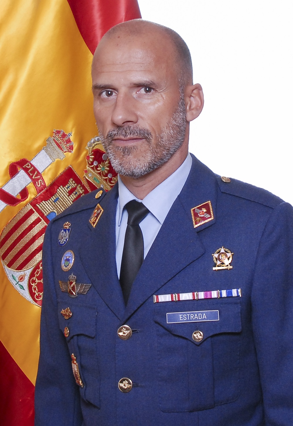 Imagen de Teniente coronel Pablo Estrada Martín