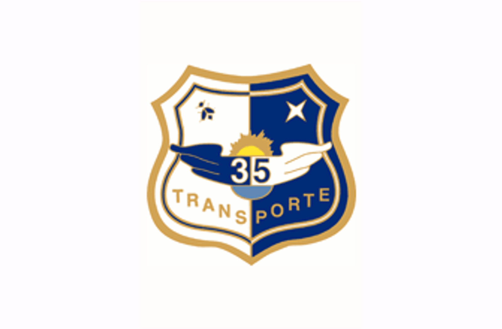 Distintivo del Ala 35