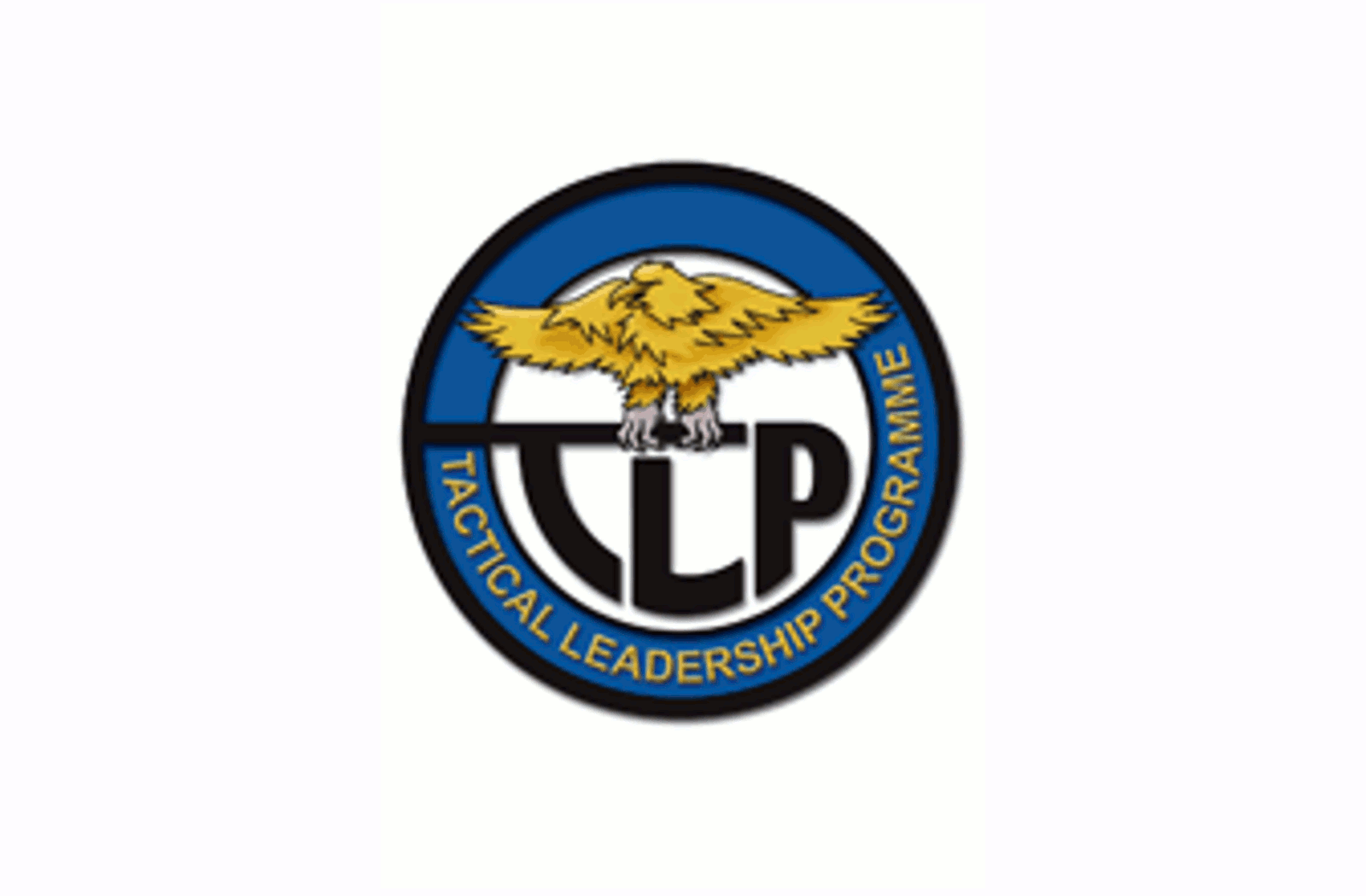 Distintivo del Tactical Leadership Program (TLP)