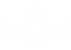Logo of the Spanish Air Force